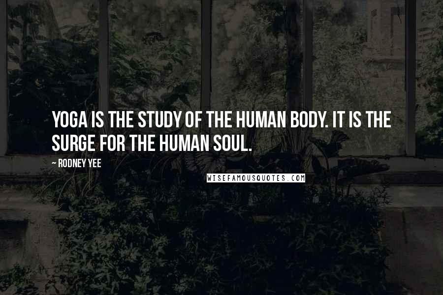 Rodney Yee Quotes: Yoga is the study of the human body. It is the surge for the human soul.