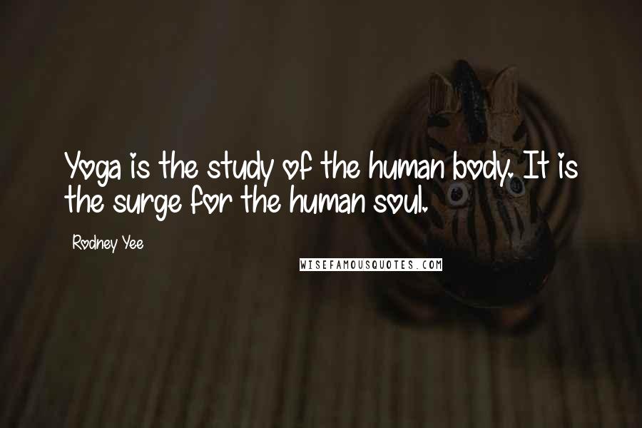 Rodney Yee Quotes: Yoga is the study of the human body. It is the surge for the human soul.