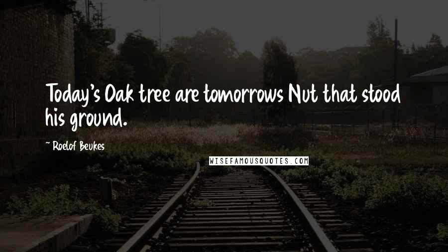 Roelof Beukes Quotes: Today's Oak tree are tomorrows Nut that stood his ground.