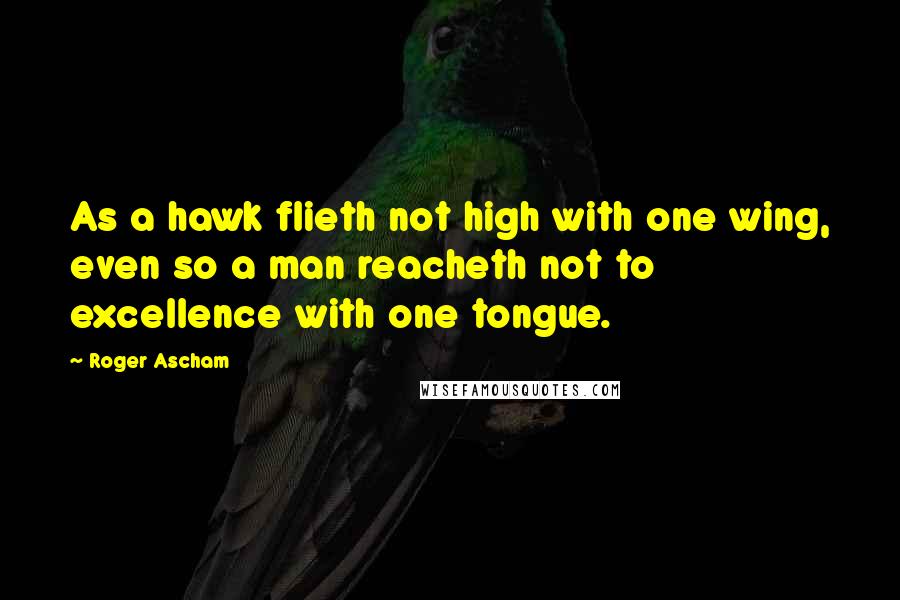 Roger Ascham Quotes: As a hawk flieth not high with one wing, even so a man reacheth not to excellence with one tongue.