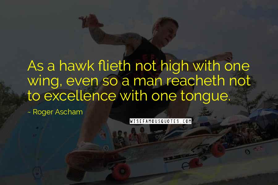 Roger Ascham Quotes: As a hawk flieth not high with one wing, even so a man reacheth not to excellence with one tongue.