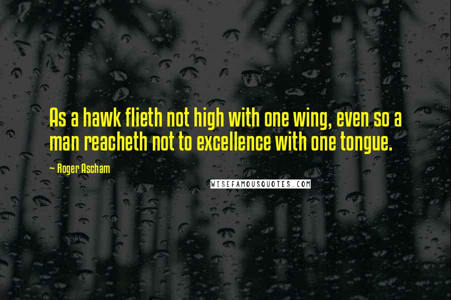 Roger Ascham Quotes: As a hawk flieth not high with one wing, even so a man reacheth not to excellence with one tongue.