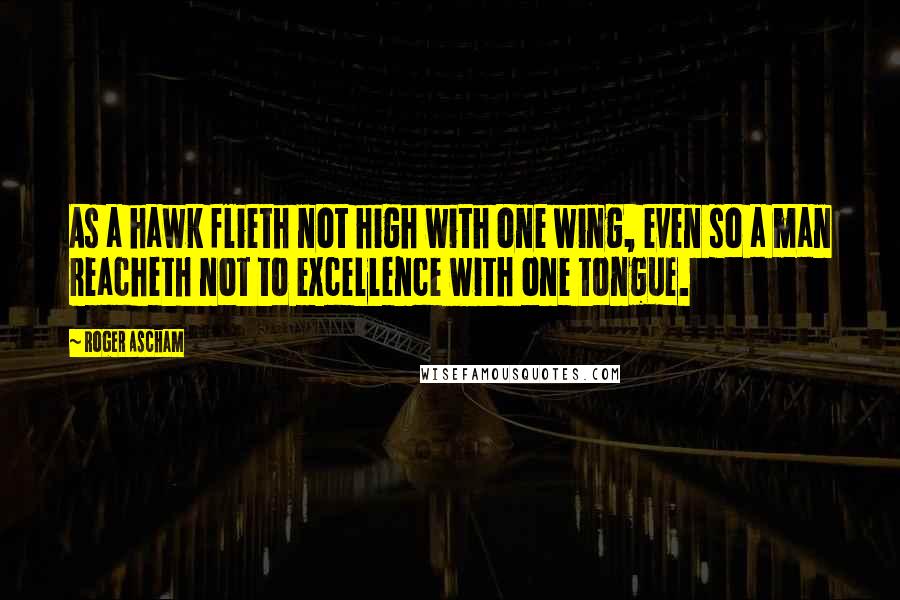 Roger Ascham Quotes: As a hawk flieth not high with one wing, even so a man reacheth not to excellence with one tongue.