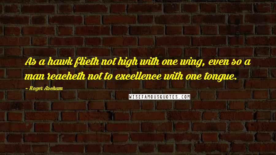 Roger Ascham Quotes: As a hawk flieth not high with one wing, even so a man reacheth not to excellence with one tongue.