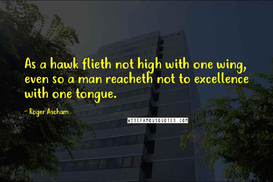 Roger Ascham Quotes: As a hawk flieth not high with one wing, even so a man reacheth not to excellence with one tongue.