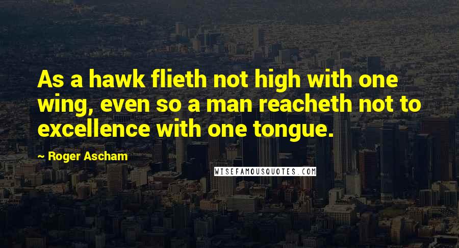 Roger Ascham Quotes: As a hawk flieth not high with one wing, even so a man reacheth not to excellence with one tongue.