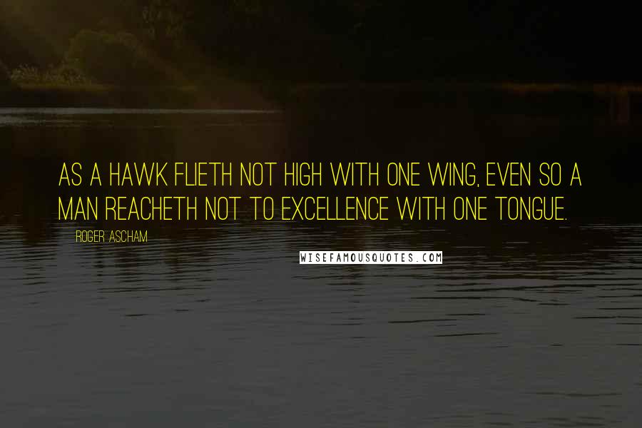 Roger Ascham Quotes: As a hawk flieth not high with one wing, even so a man reacheth not to excellence with one tongue.