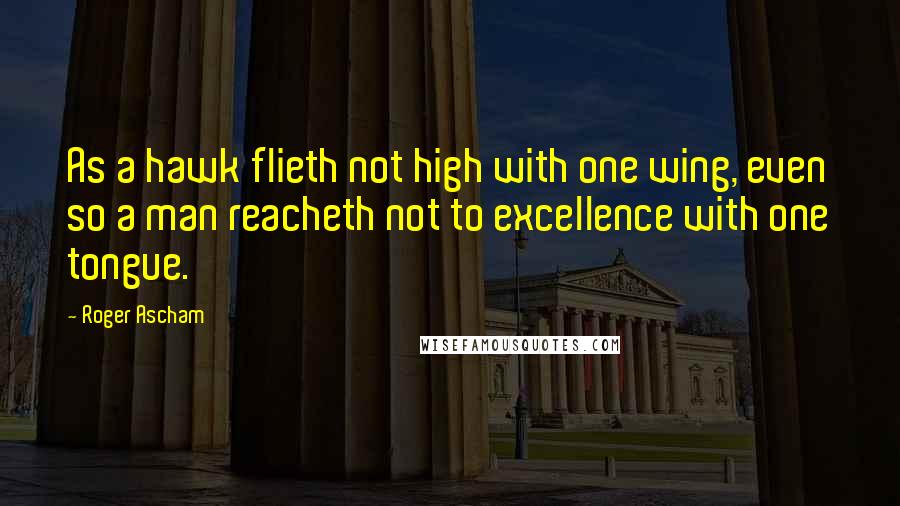 Roger Ascham Quotes: As a hawk flieth not high with one wing, even so a man reacheth not to excellence with one tongue.