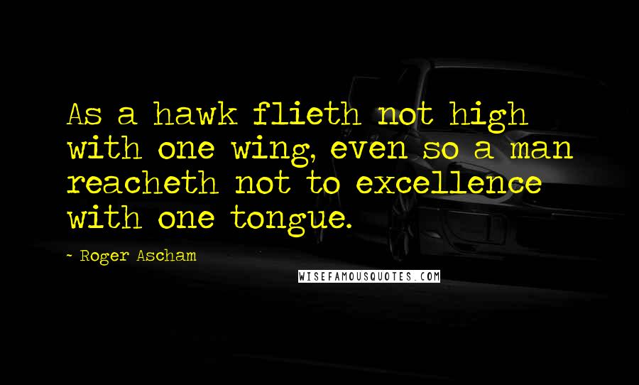 Roger Ascham Quotes: As a hawk flieth not high with one wing, even so a man reacheth not to excellence with one tongue.
