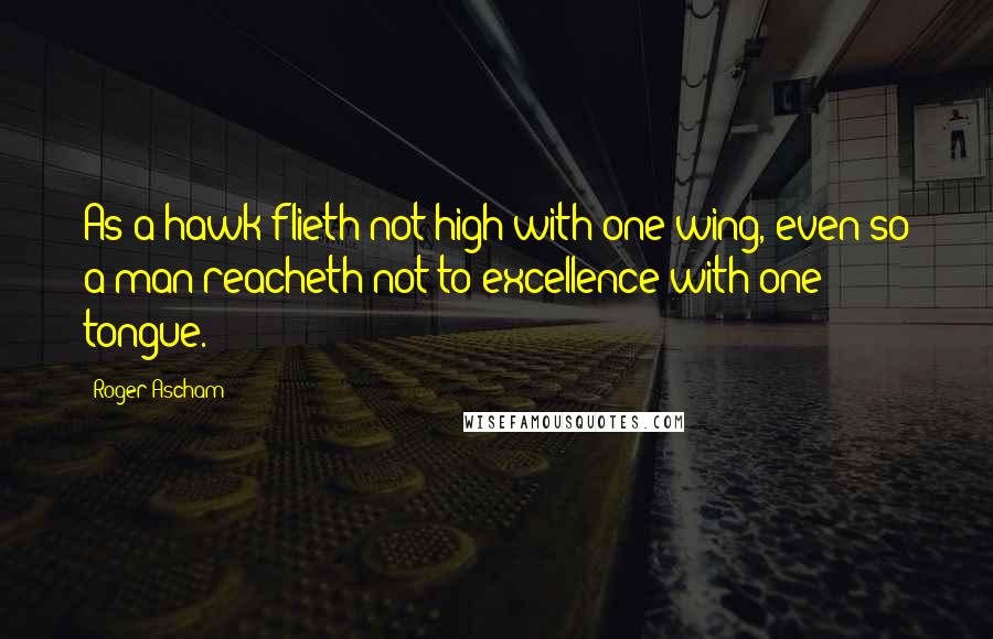 Roger Ascham Quotes: As a hawk flieth not high with one wing, even so a man reacheth not to excellence with one tongue.