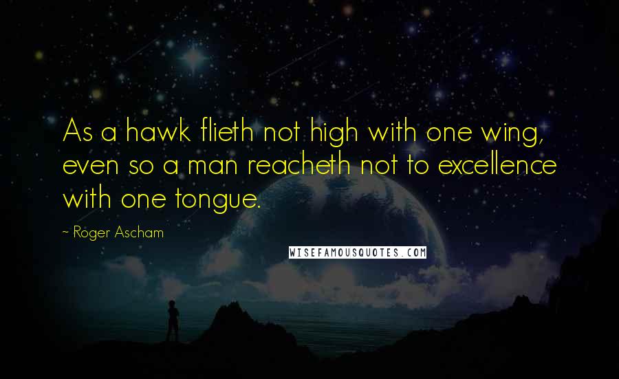 Roger Ascham Quotes: As a hawk flieth not high with one wing, even so a man reacheth not to excellence with one tongue.