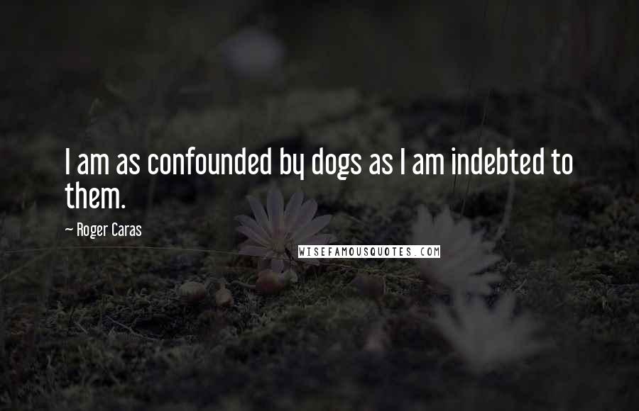 Roger Caras Quotes: I am as confounded by dogs as I am indebted to them.
