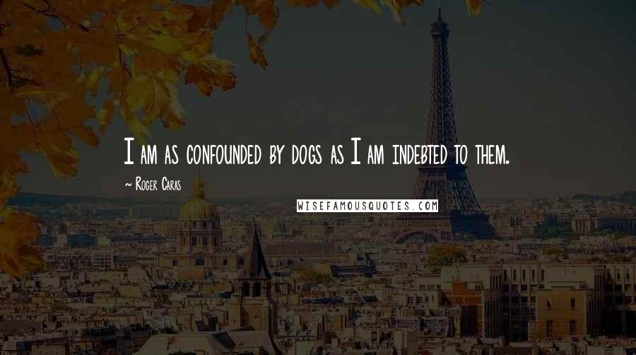 Roger Caras Quotes: I am as confounded by dogs as I am indebted to them.