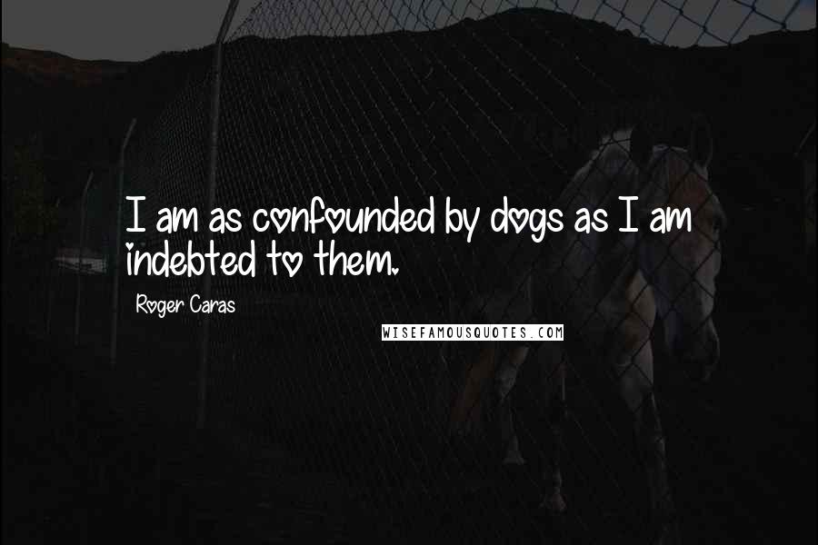 Roger Caras Quotes: I am as confounded by dogs as I am indebted to them.