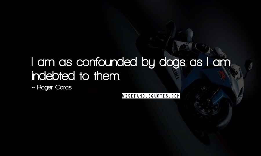 Roger Caras Quotes: I am as confounded by dogs as I am indebted to them.