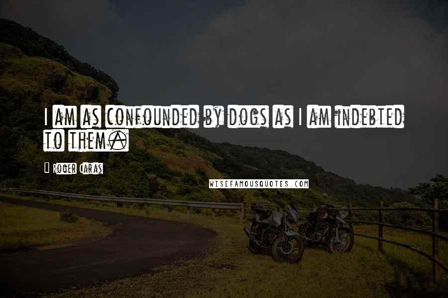 Roger Caras Quotes: I am as confounded by dogs as I am indebted to them.