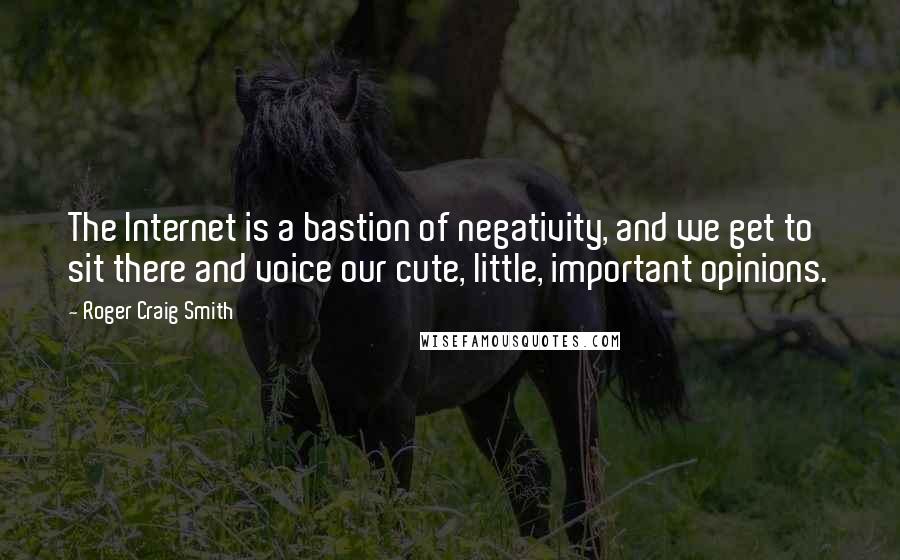 Roger Craig Smith Quotes: The Internet is a bastion of negativity, and we get to sit there and voice our cute, little, important opinions.