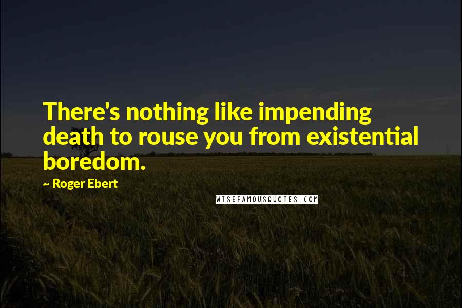 Roger Ebert Quotes: There's nothing like impending death to rouse you from existential boredom.