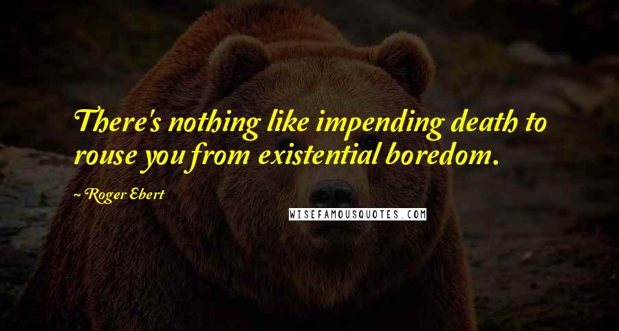 Roger Ebert Quotes: There's nothing like impending death to rouse you from existential boredom.