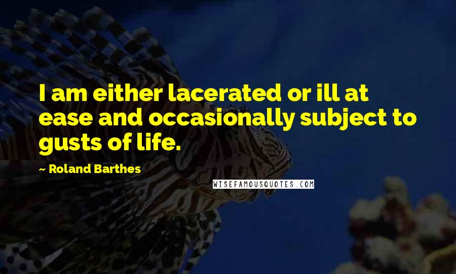 Roland Barthes Quotes: I am either lacerated or ill at ease and occasionally subject to gusts of life.