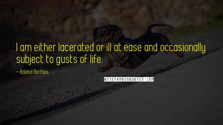 Roland Barthes Quotes: I am either lacerated or ill at ease and occasionally subject to gusts of life.