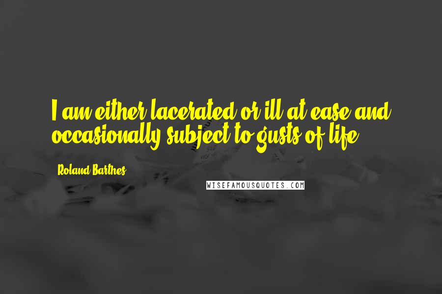 Roland Barthes Quotes: I am either lacerated or ill at ease and occasionally subject to gusts of life.