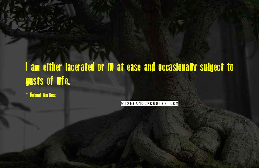 Roland Barthes Quotes: I am either lacerated or ill at ease and occasionally subject to gusts of life.