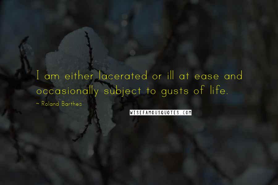 Roland Barthes Quotes: I am either lacerated or ill at ease and occasionally subject to gusts of life.