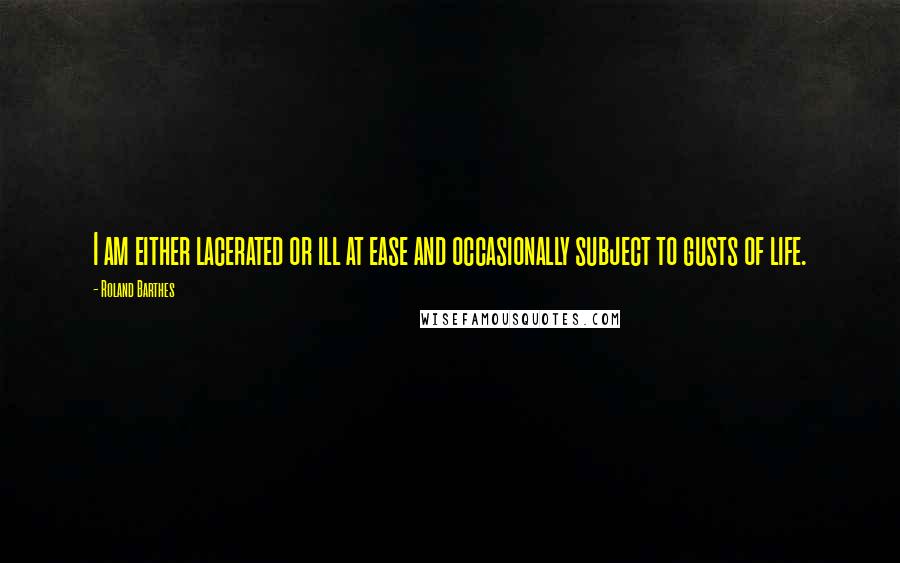 Roland Barthes Quotes: I am either lacerated or ill at ease and occasionally subject to gusts of life.