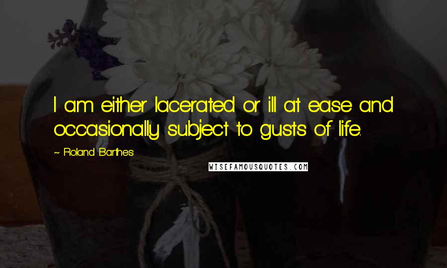 Roland Barthes Quotes: I am either lacerated or ill at ease and occasionally subject to gusts of life.