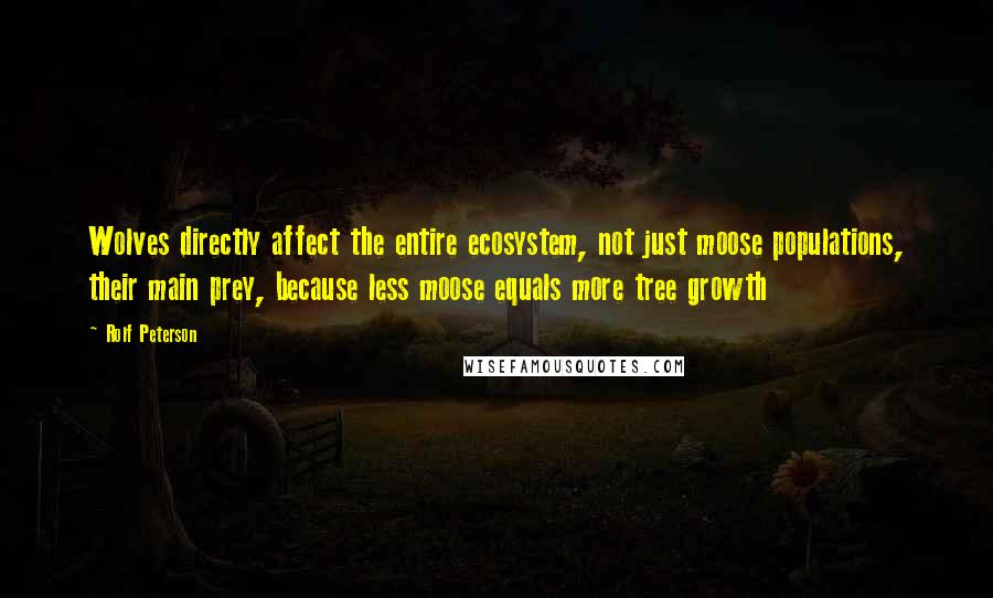 Rolf Peterson Quotes: Wolves directly affect the entire ecosystem, not just moose populations, their main prey, because less moose equals more tree growth