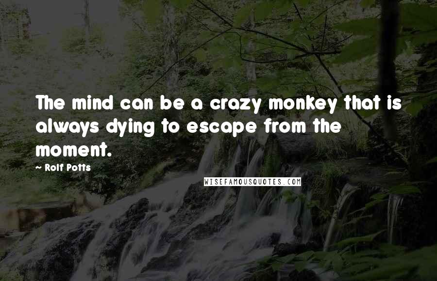 Rolf Potts Quotes: The mind can be a crazy monkey that is always dying to escape from the moment.