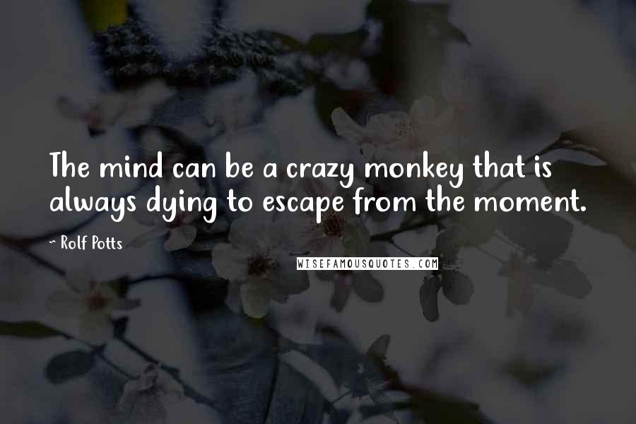 Rolf Potts Quotes: The mind can be a crazy monkey that is always dying to escape from the moment.