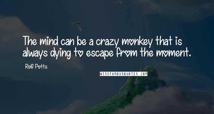 Rolf Potts Quotes: The mind can be a crazy monkey that is always dying to escape from the moment.