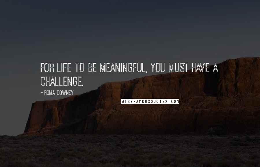 Roma Downey Quotes: For life to be meaningful, you must have a challenge.