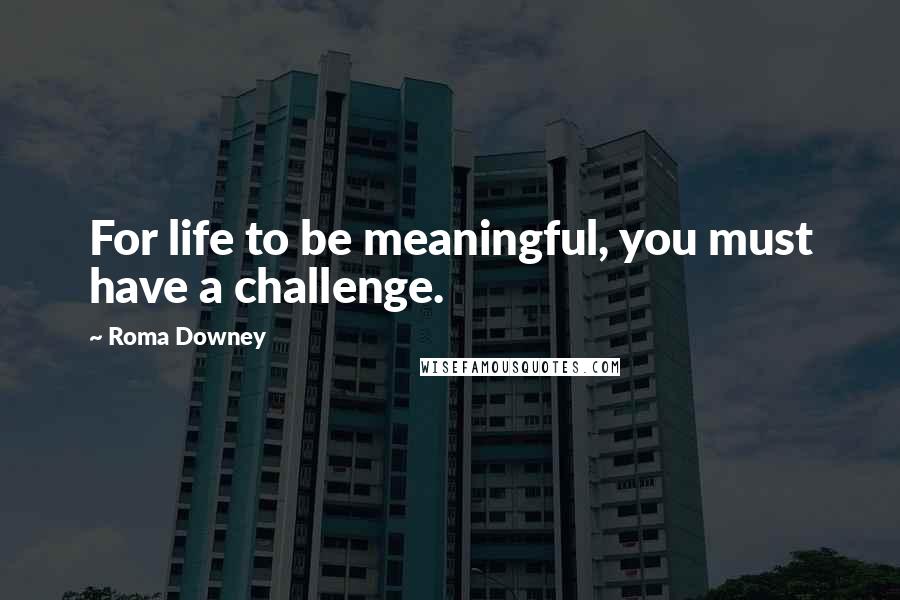 Roma Downey Quotes: For life to be meaningful, you must have a challenge.