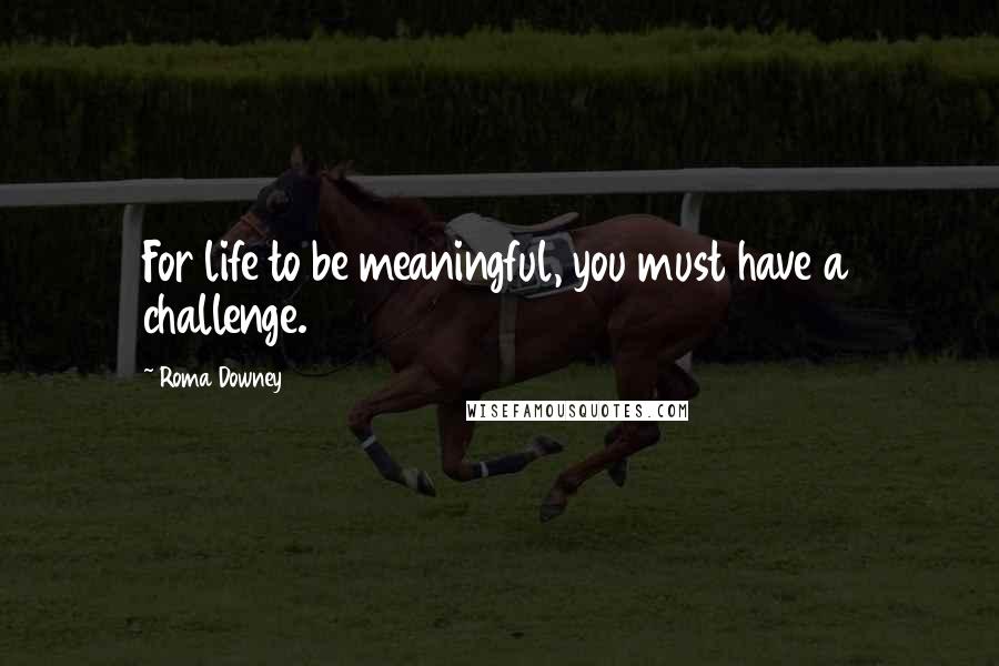 Roma Downey Quotes: For life to be meaningful, you must have a challenge.