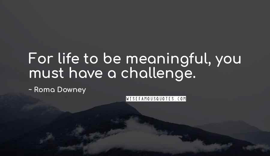 Roma Downey Quotes: For life to be meaningful, you must have a challenge.