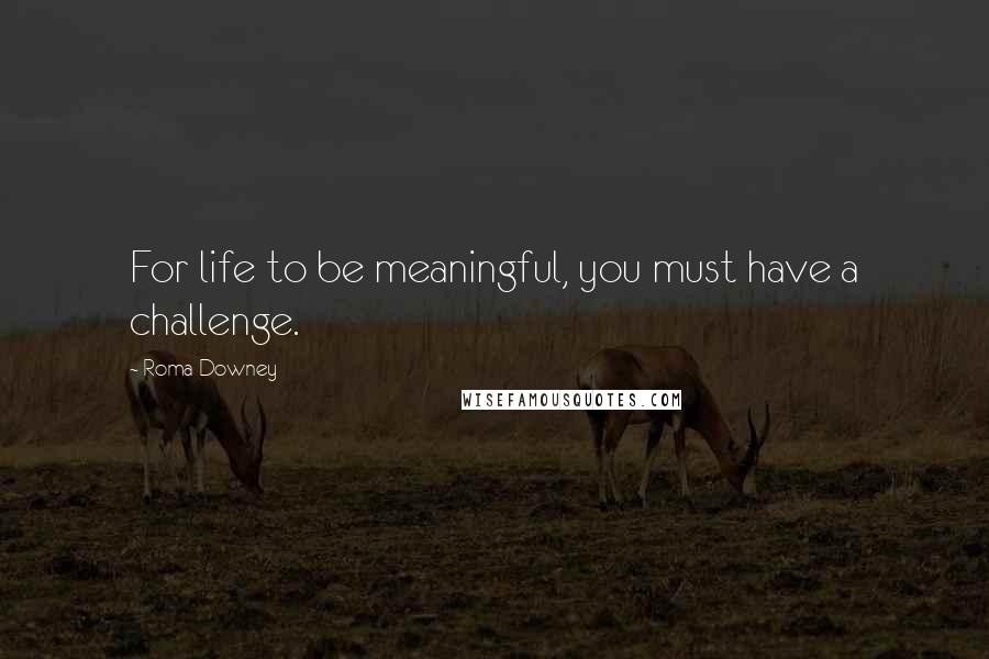 Roma Downey Quotes: For life to be meaningful, you must have a challenge.