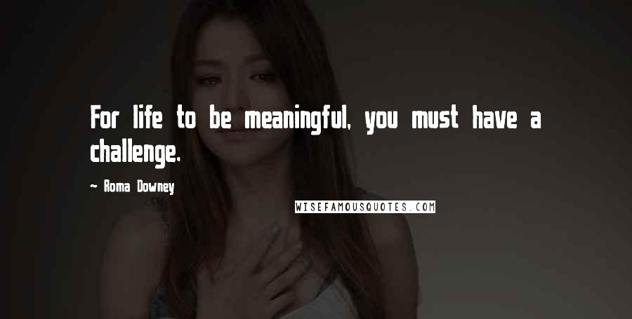 Roma Downey Quotes: For life to be meaningful, you must have a challenge.