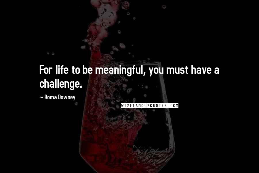 Roma Downey Quotes: For life to be meaningful, you must have a challenge.