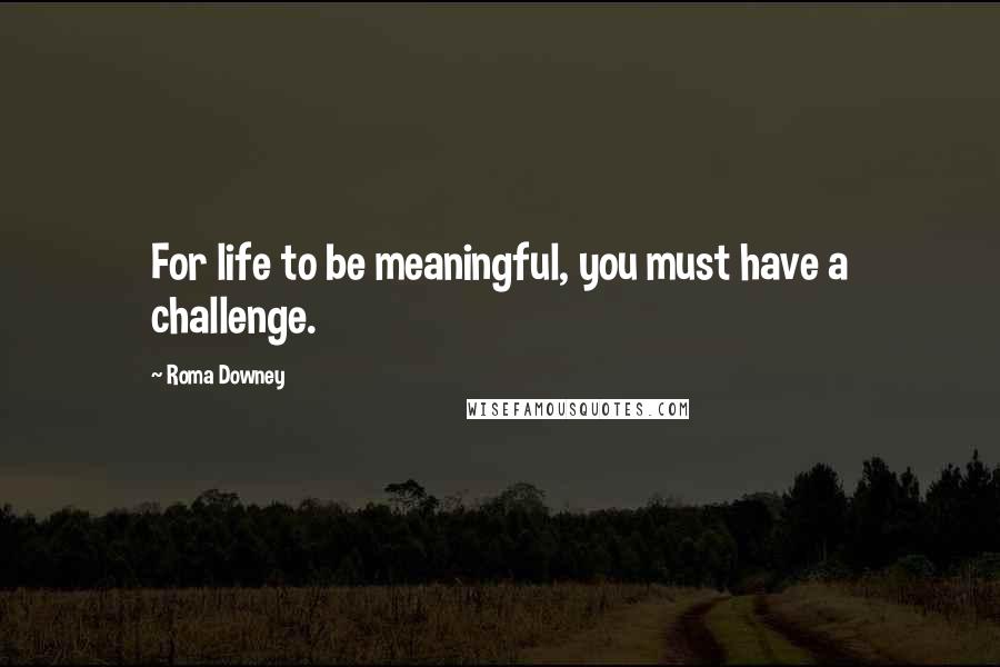 Roma Downey Quotes: For life to be meaningful, you must have a challenge.