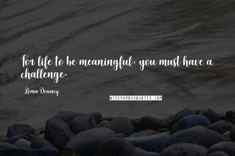 Roma Downey Quotes: For life to be meaningful, you must have a challenge.