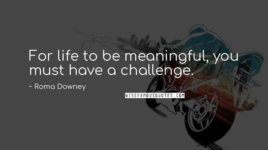 Roma Downey Quotes: For life to be meaningful, you must have a challenge.