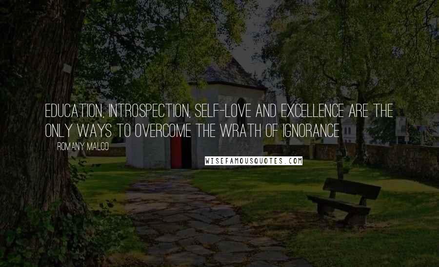 Romany Malco Quotes: Education, introspection, self-love and excellence are the only ways to overcome the wrath of ignorance