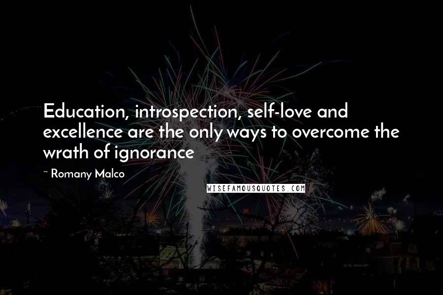 Romany Malco Quotes: Education, introspection, self-love and excellence are the only ways to overcome the wrath of ignorance