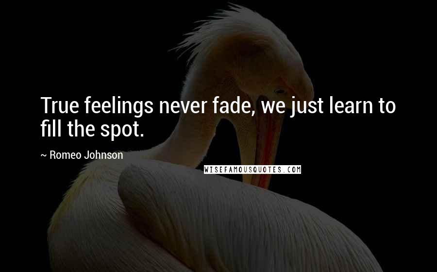 Romeo Johnson Quotes: True feelings never fade, we just learn to fill the spot.