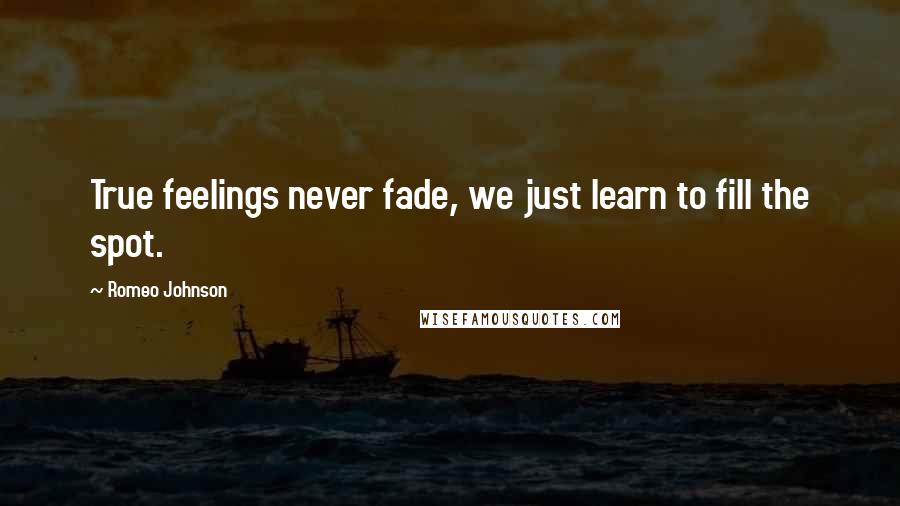Romeo Johnson Quotes: True feelings never fade, we just learn to fill the spot.