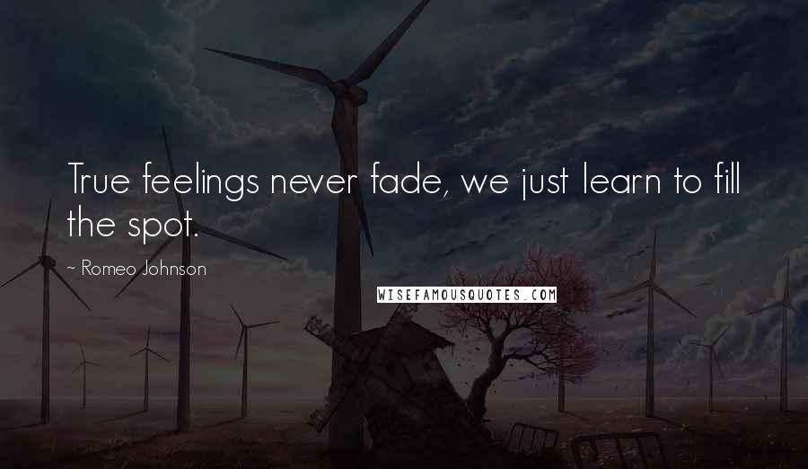 Romeo Johnson Quotes: True feelings never fade, we just learn to fill the spot.