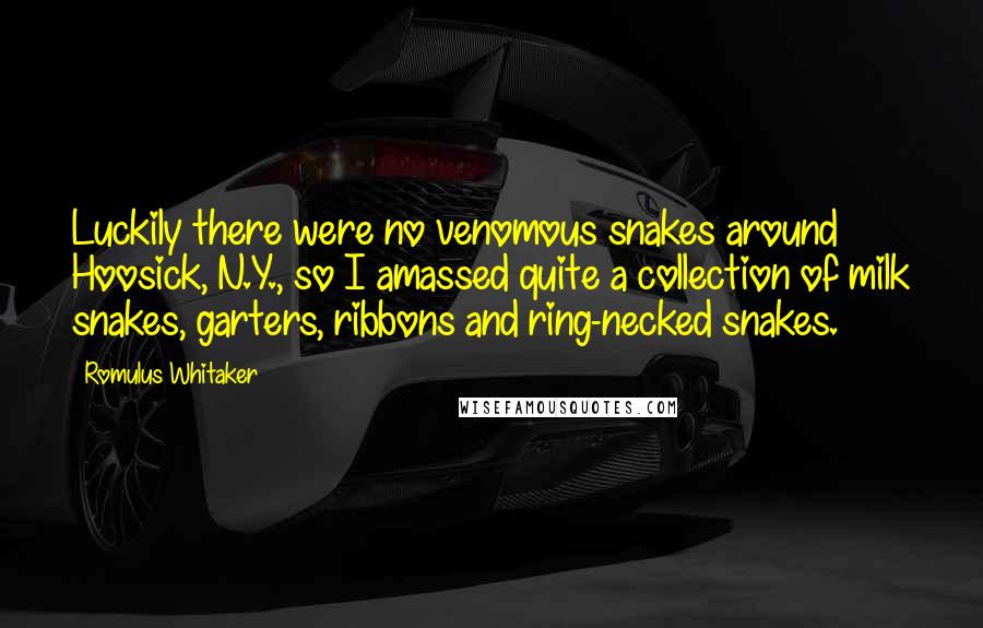 Romulus Whitaker Quotes: Luckily there were no venomous snakes around Hoosick, N.Y., so I amassed quite a collection of milk snakes, garters, ribbons and ring-necked snakes.